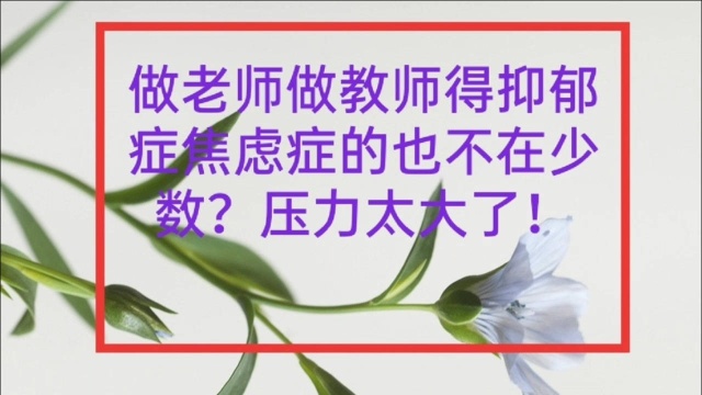 做老师做教师得抑郁症焦虑症的也不在少数?压力太大了!