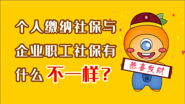 个人缴纳社保与企业职工社保有什么不一样?