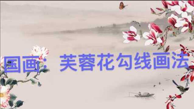 【教你画国画】国画花鸟:用双勾法画芙蓉花