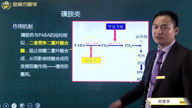 临床核心考点全攻略:人工合成抗菌药都有哪些?使用注意事项一定要知道