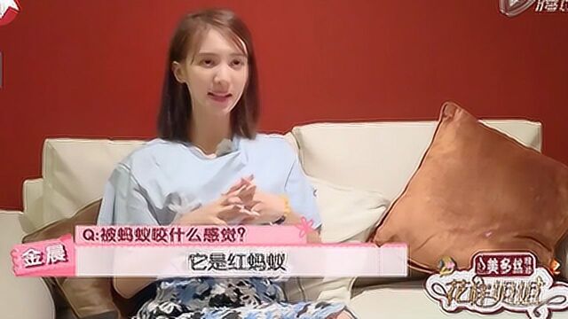 花样姐姐:姐姐团丛林探险,意外被红蚂蚁咬伤