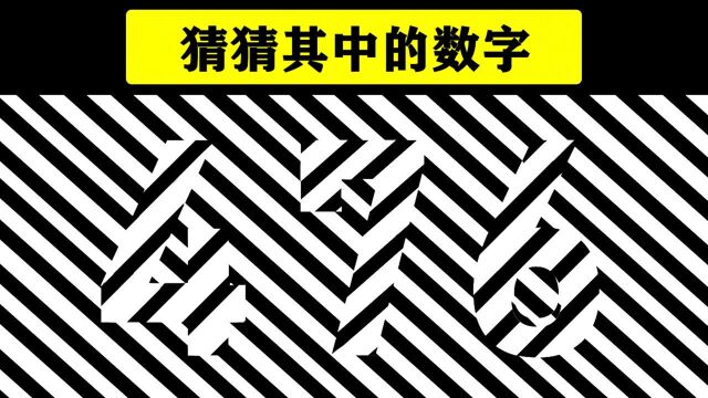 一些视错觉小测试,你能看清图片中的数字吗?