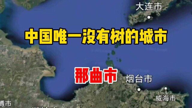 中国唯一没有树的城市,那曲市,我们实地查看