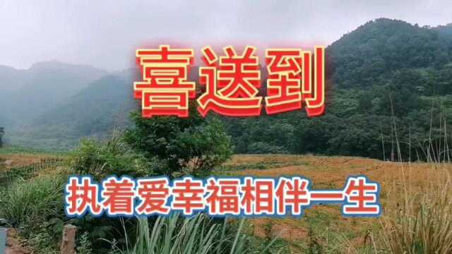 亲近原生态大自然,观赏高山自然风光,心情心旷神怡,太舒服了!