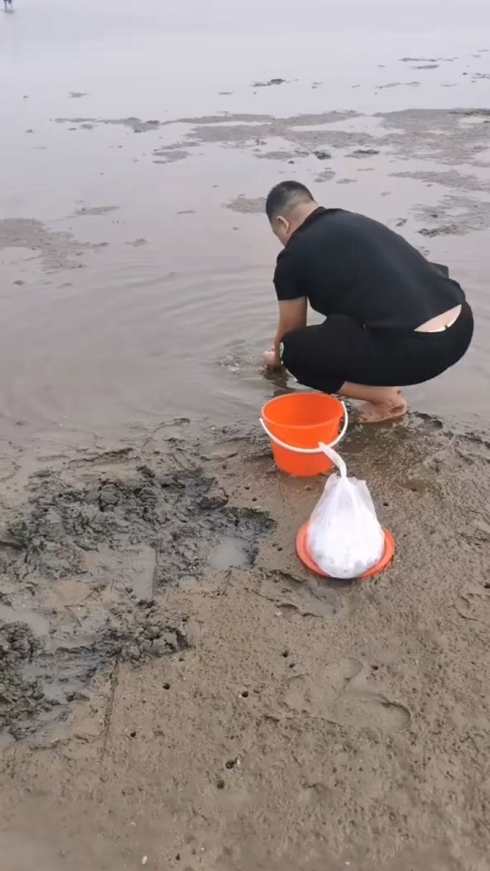 Thumbplayer Poster Plugin Image