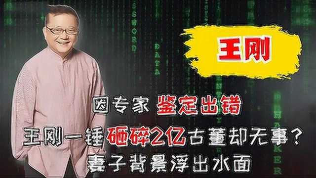 因专家鉴定出错,王刚一锤砸碎2亿古董却无事?妻子背景浮出水面