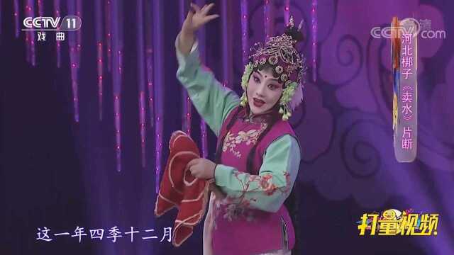 刘雪芳表演河北梆子《卖水》,一开口便惊艳全场