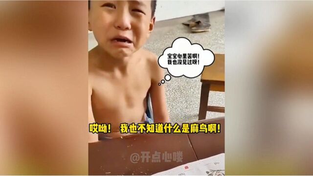 全网汉语发音很标准的几个熊孩子,手表念手diao,麻鸟是什么鬼?