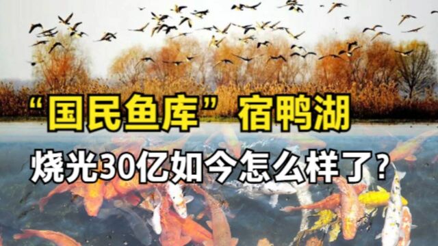 “国民鱼库”宿鸭湖,40年治理费用高达30亿,如今怎么样了?