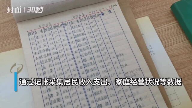 收支小账本民生大数据,带你看看“国家调查户”的记账本