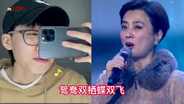 达人与李玲玉演唱的《女儿情》哪个是你的最爱,请在评论区留言!