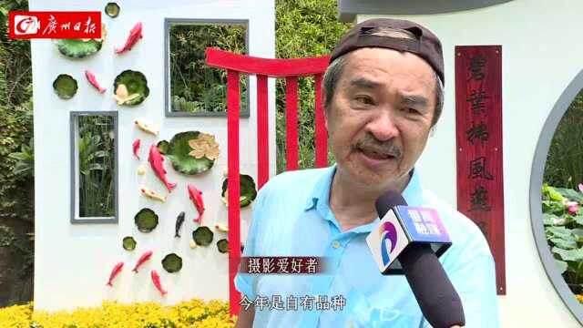 “中国红”系列莲花首次亮相广州番禺莲花山