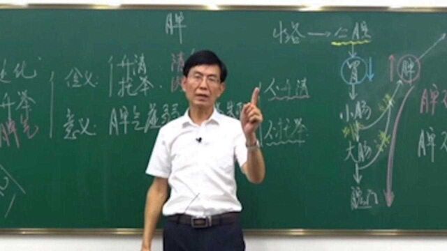 容易下垂的有”胃下垂,子宫脱落以及脱肛“,专家现场分析原因