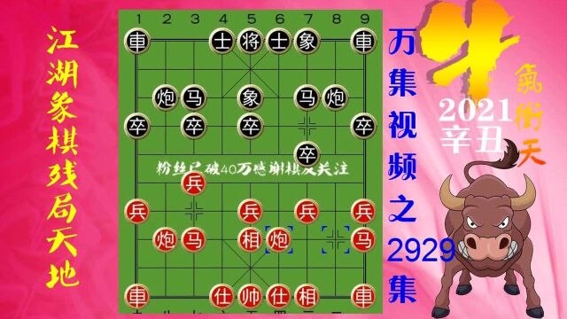 2929王天一张学潮