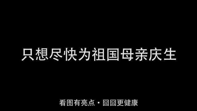 家有恶猫!这么凶的猫是会被撸秃的