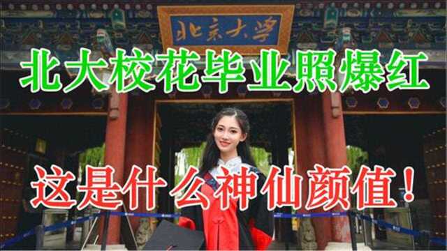 北大校花毕业照爆红全网,神仙颜值让人沦陷,曾是山东大学本科生