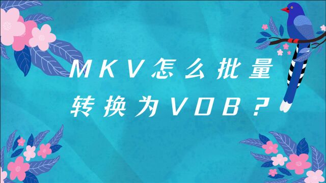 MKV怎么批量转换为VOB?