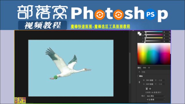 ps魔棒快速抠图视频:魔棒选区工具抠图教程