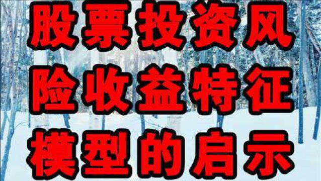 股票投资风险收益特征模型的启示