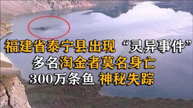 福建省出现灵异事件,多名淘金者莫名身亡,300万条鱼神秘失踪