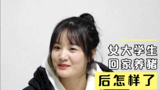 河南女大学生回家养猪,3年前为了嫁出去拿300头猪陪嫁,后怎样了