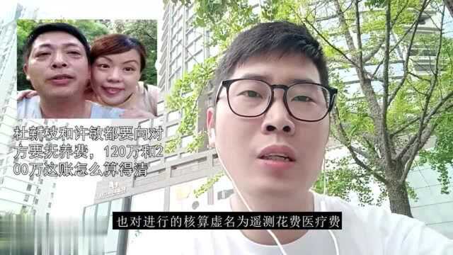 杜新枝和许敏都要向对方要抚养费,120万和200万这账怎么算得清