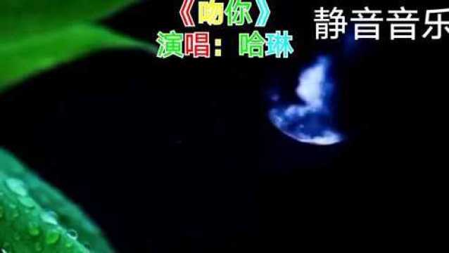 内蒙歌曲《吻你》演唱:哈琳