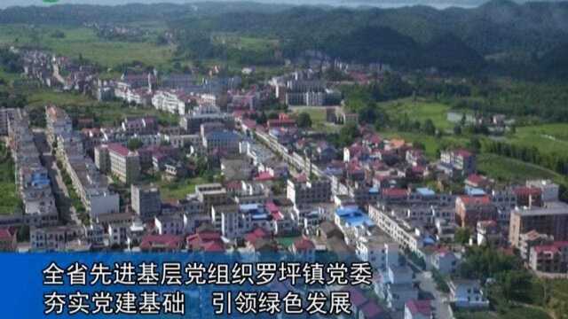 全省先进基层党组织罗坪镇党委:夯实党建基础 引领绿色发展