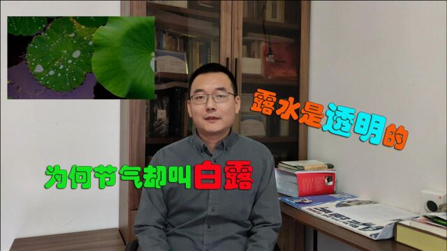 露水明明是透明的,为什么二十四节气里却叫“白露”?