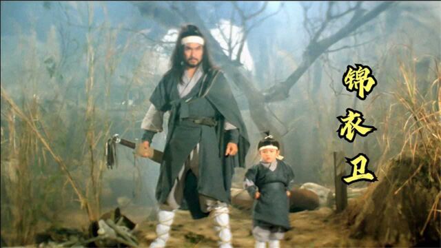 1984年上映的邵氏武侠片《锦衣卫》,武打设计堪称一流,百看不厌