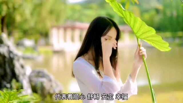 #热点速看#女孩子起名字用什么字好?女宝宝取名用什么字好?(09)