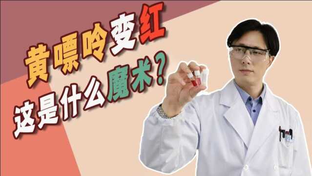 黄嘌呤变红,这是什么魔术?