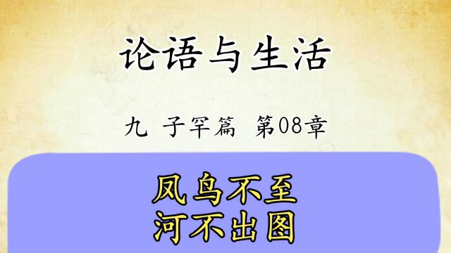 论语解读与生活运用九:子罕篇第08章原文精读凤鸟不至河不出图图学经典传统文化