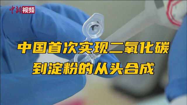 中国首次实现二氧化碳到淀粉的从头合成