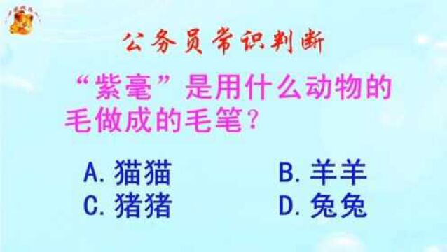 公务员常识判断,紫毫是用什么动物的毛做成的毛笔?长见识啦