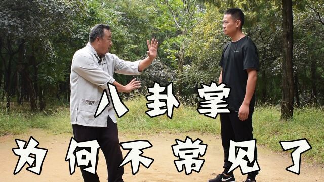 八卦掌是三大内家拳之一,曾经也威震八方.现在为啥很少看到了