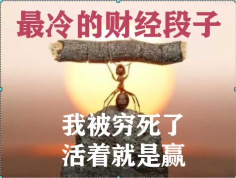 最冷的财经段子:我被穷死了,活着就是赢