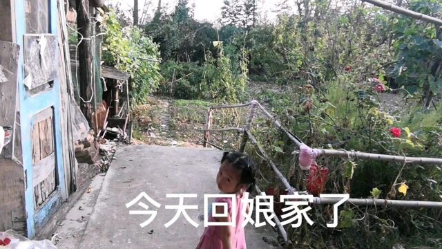 外地打工夫妻回娘家,吃的都是新鲜绿色无公害蔬菜,看看都有什么