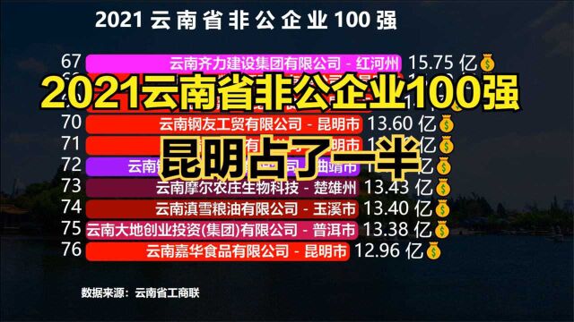 2021云南省非公企业100强,昆明50家,曲靖13家,你的家乡有多少家?