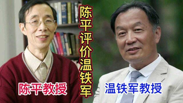 陈平教授评价温铁军教授,对农村调查做的最好的,温铁军教授当之无愧