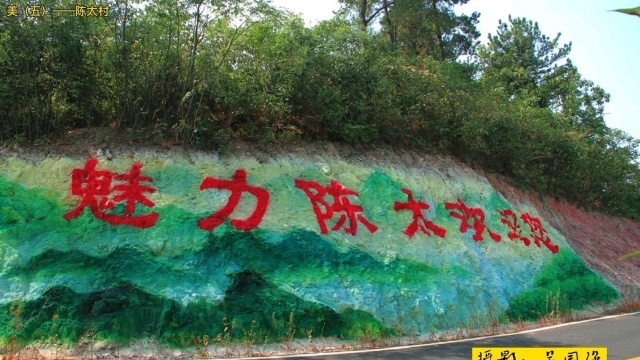 梁子湖乡村《醉》美——陈太村@青岛早报体育新闻 @金台资讯