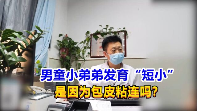 男童小弟弟发育“短小”,是因为包皮粘连吗?听男科医生讲!