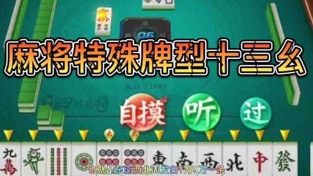 麻将特殊胡牌牌型十三幺