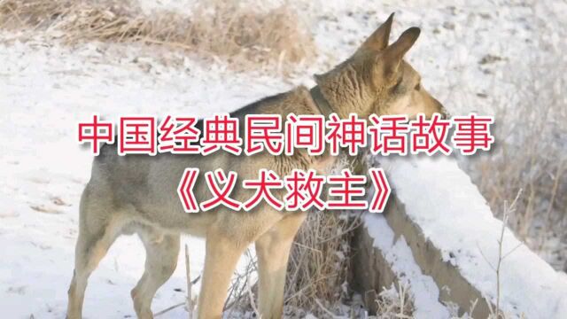 儿童启蒙教育,中国经典民间神话故事:《义犬救主》