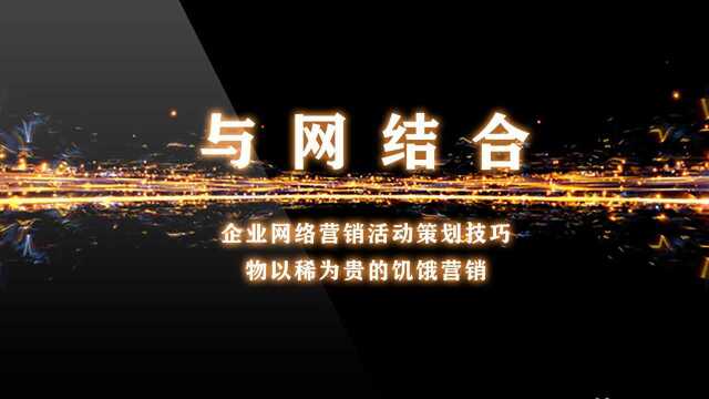 企业网络营销活动策划技巧物以稀为贵的饥饿营销