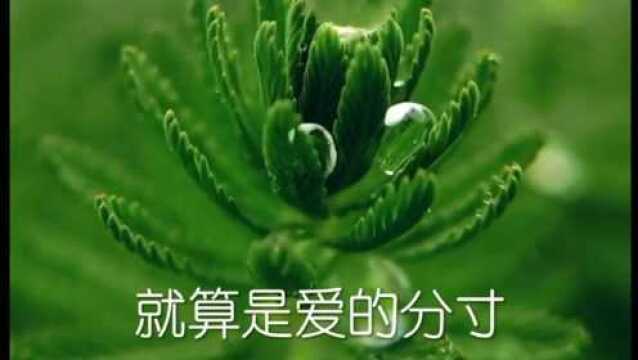 《云愁雨恨》时间在哪里停顿,才能够恰如其分