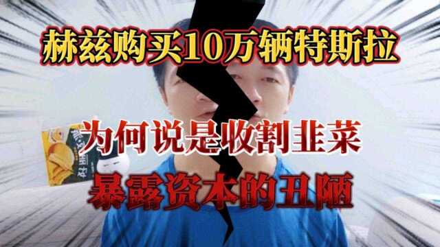 为何说赫兹购买10万辆特斯拉,是准备收割韭菜,反应资本的丑陋?