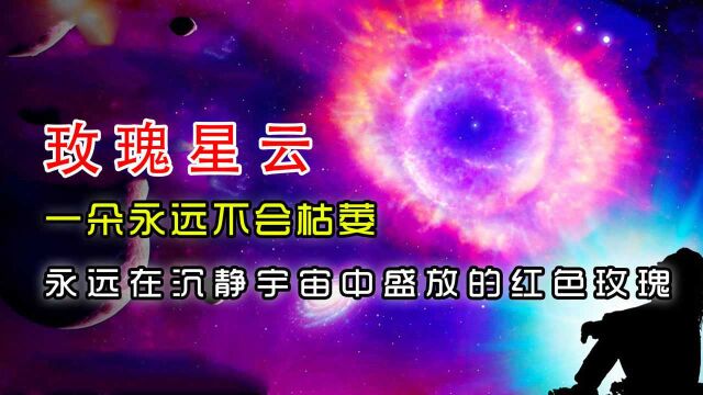 玫瑰星云——一朵永远不会枯萎、永远在沉静宇宙中盛放的红色玫瑰,是爱人要给你的宇宙级别的永恒浪漫