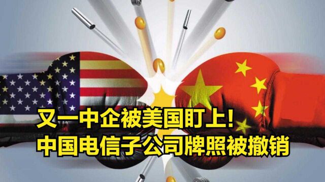 又一中企被美国盯上!中国电信子公司牌照被撤销,三部委接连发声