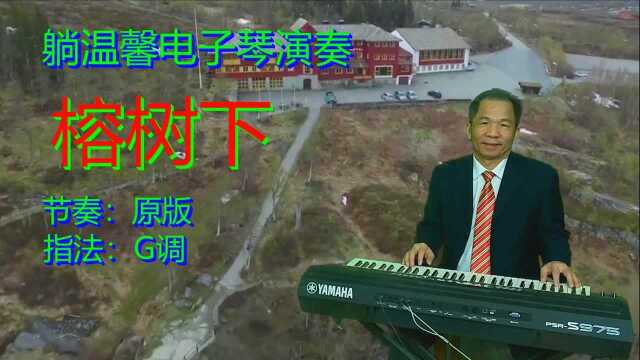 电子琴《榕树下》原版节奏 经典流行曲 值得欣赏与收藏